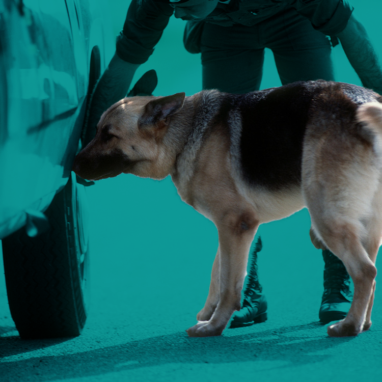 byers k9 explosives unit detail work