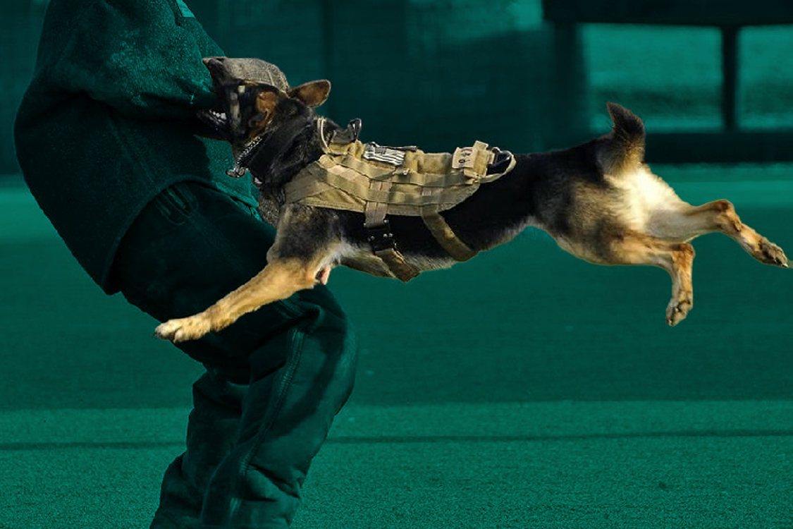 byers k9 firearms unit detail work