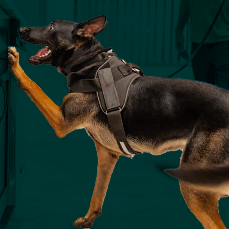 byers k9 explosives unit detail work