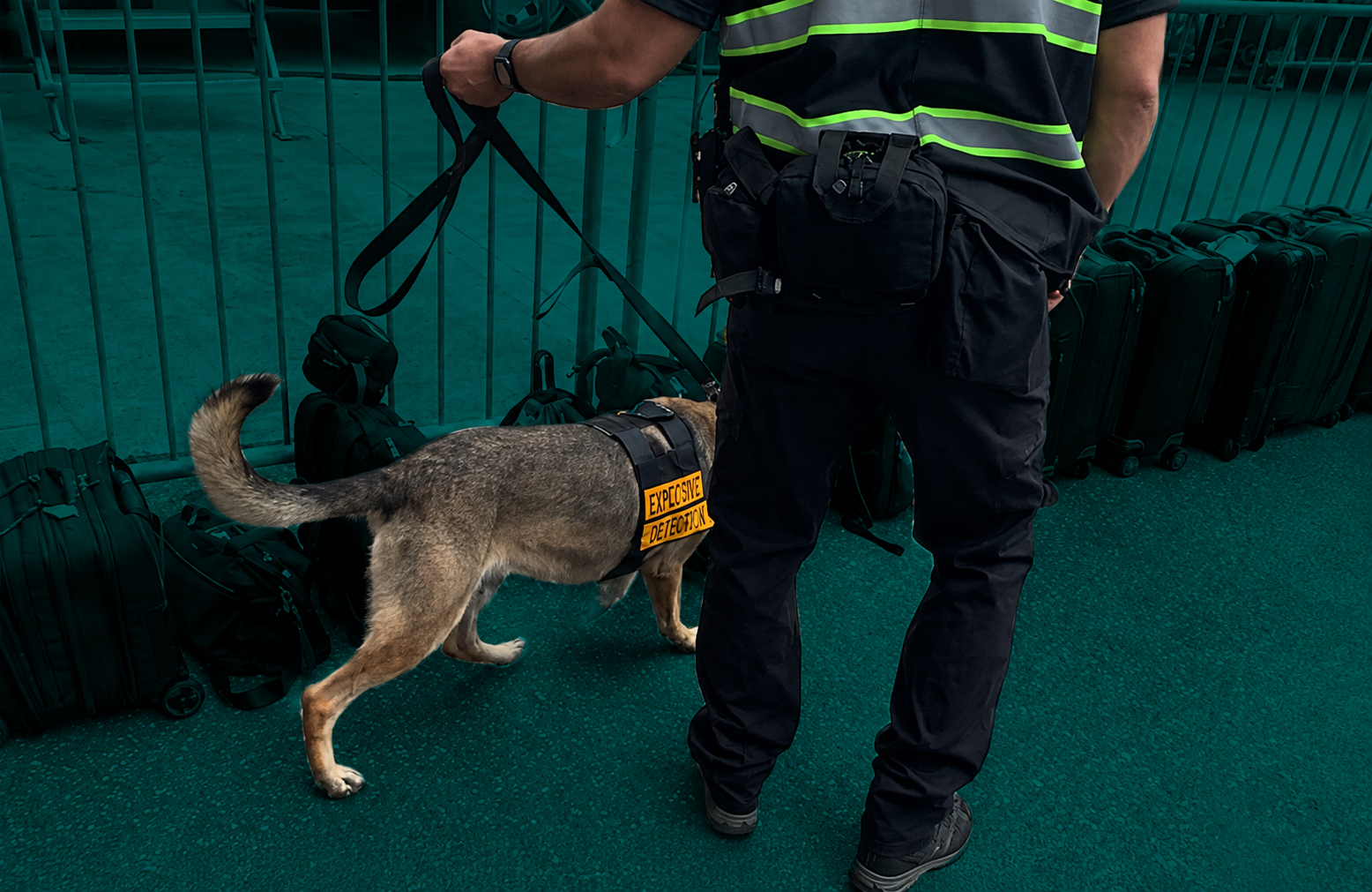 byers k9 bed bug detection detail work